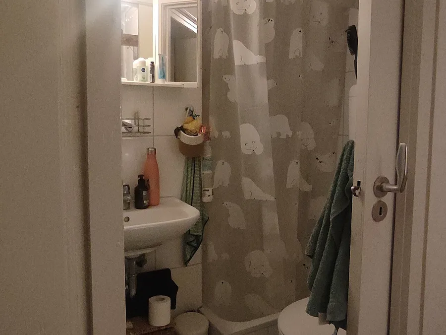Bathroom Renovation Oakleigh — in practice